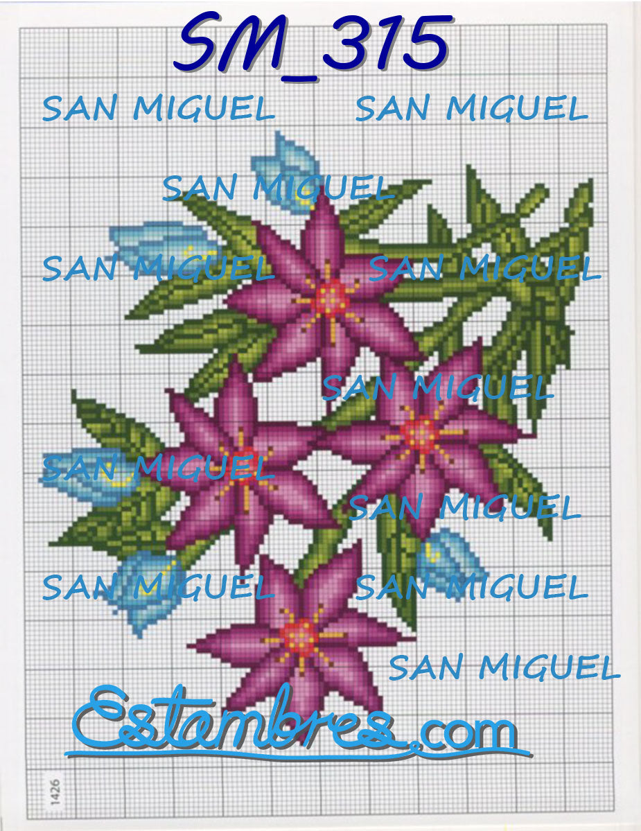 SAN MIGUEL [SM315-636] - 2 de 7