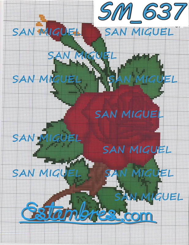 SAN MIGUEL [SM637-701] - 3 de 7