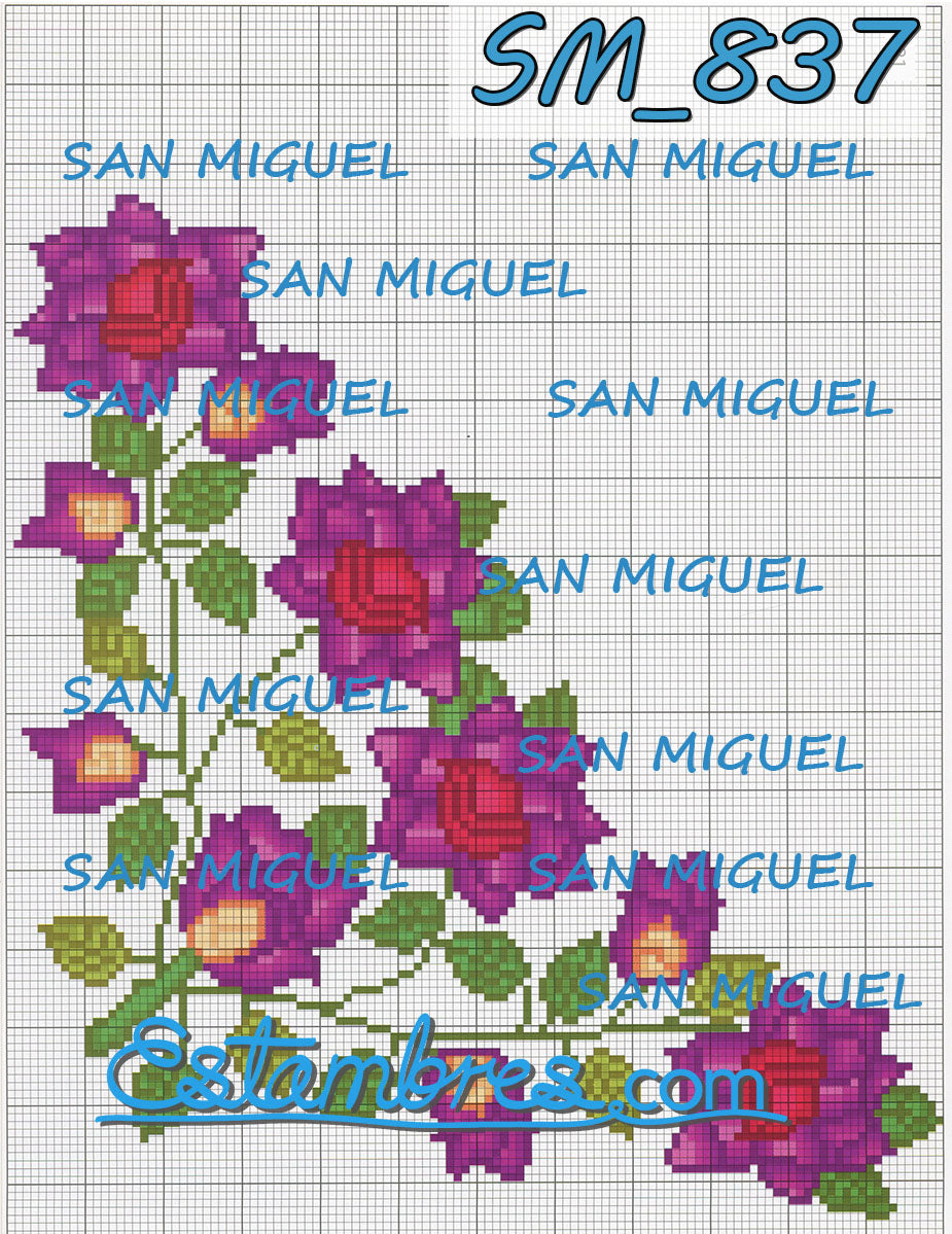 SAN MIGUEL [SM833-903] - 6 of 7