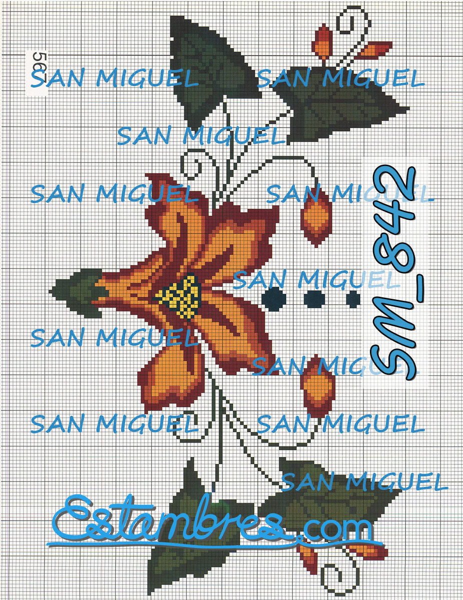 SAN MIGUEL [SM833-903] - 6 of 7