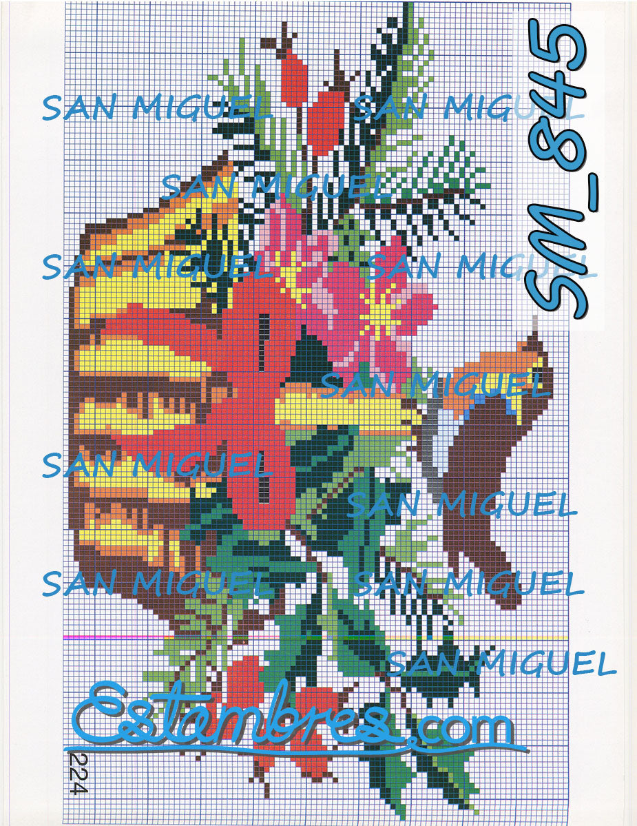 SAN MIGUEL [SM833-903] - 6 of 7