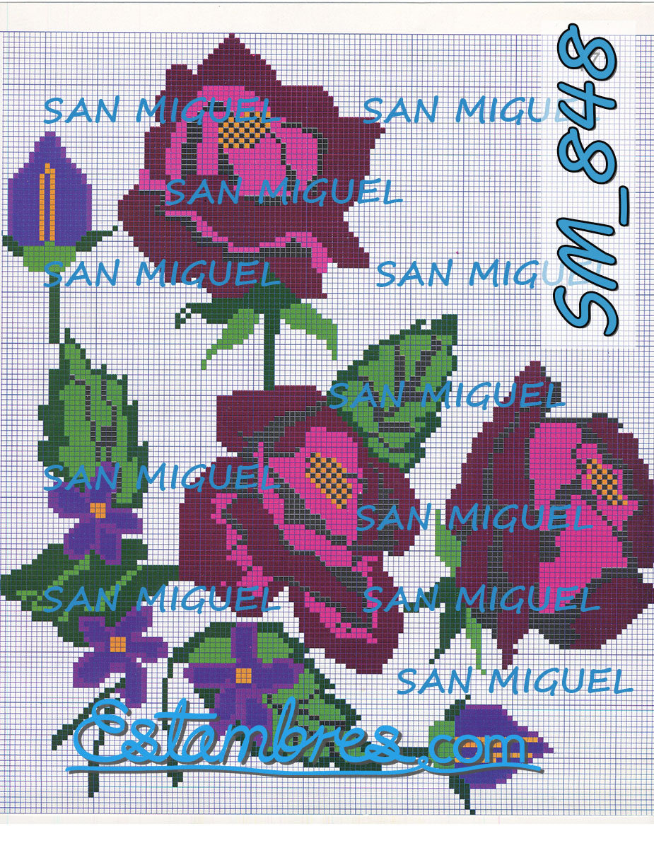 SAN MIGUEL [SM833-903] - 6 of 7