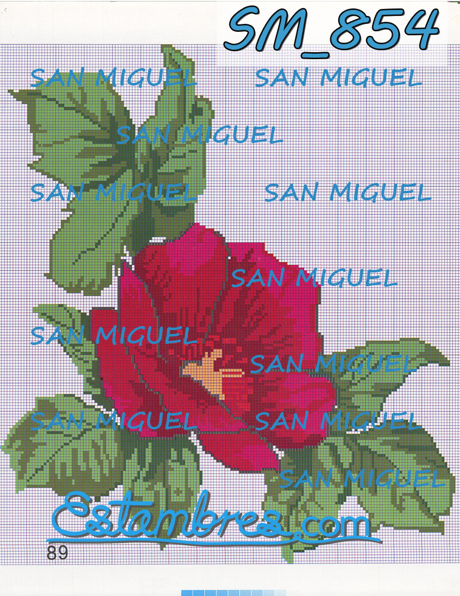 SAN MIGUEL [SM833-903] - 6 of 7