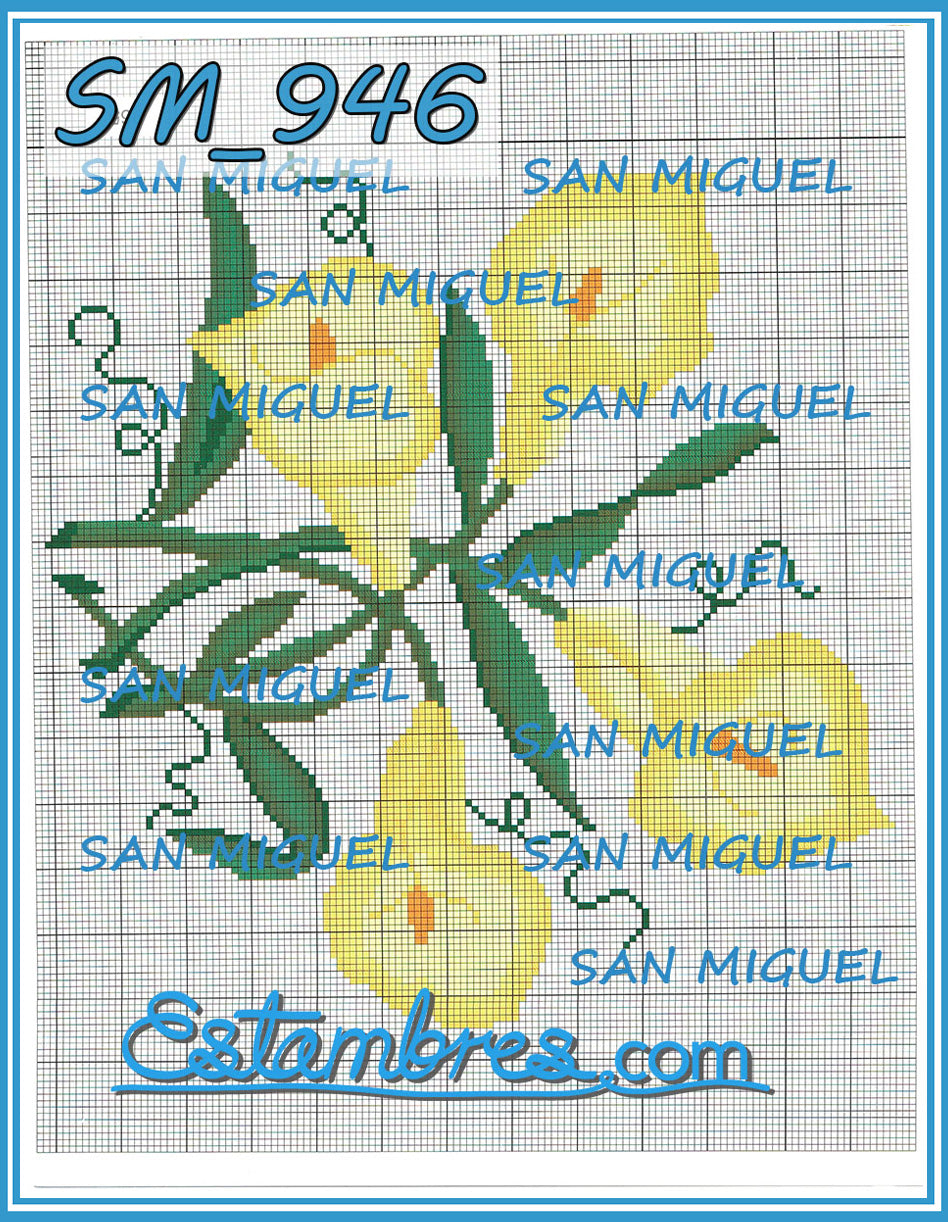 SAN MIGUEL [SM904-964] - 7 of 7